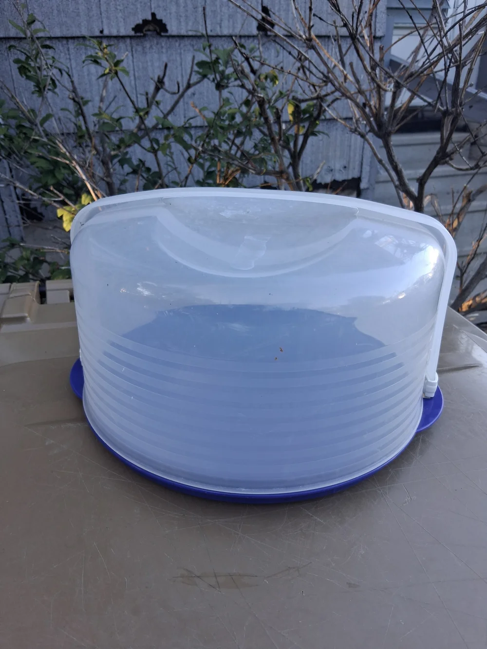 Clear Plastic Cake Carrier with Purple Base 6 1/2 Tall X 11 3/4